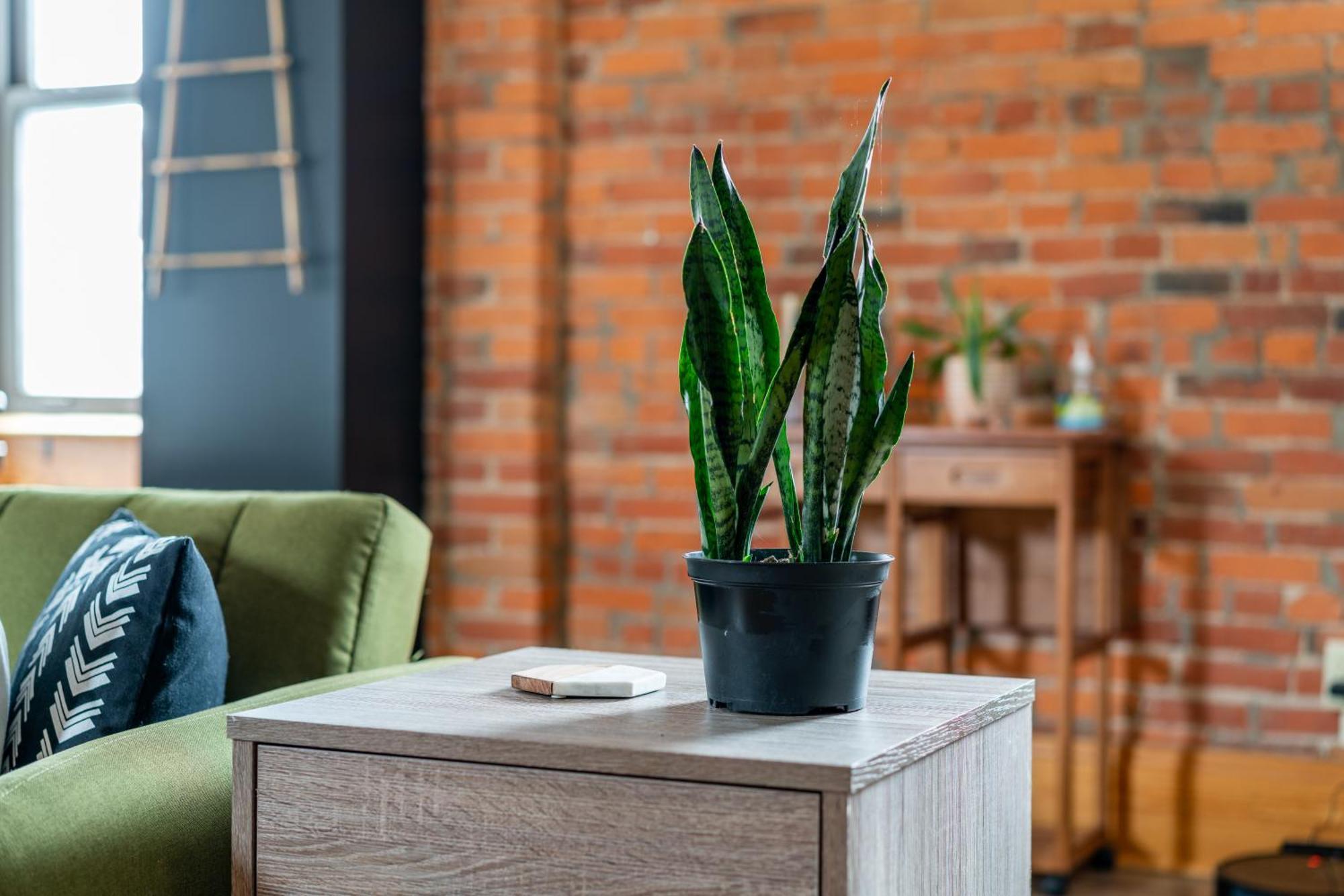 Prime Location Top Rated Clean Parking Free Hotel Columbus
